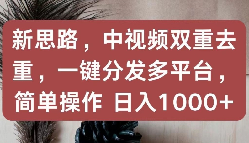 新思路，中视频双重去重，一键分发多平台，简单操作，日入1000+-休闲网赚three