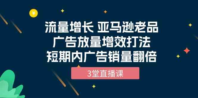 流量增长 亚马逊老品广告放量增效打法，短期内广告销量翻倍（3堂直播课）-休闲网赚three