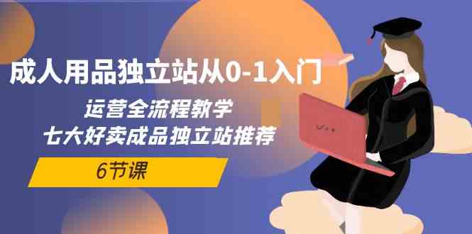 成人用品独立站从0-1入门，运营全流程教学，七大好卖成品独立站推荐（6节课）-休闲网赚three