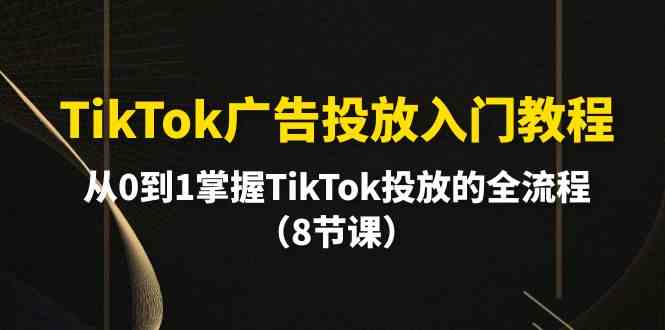 TikTok广告投放入门教程，从0到1掌握TikTok投放的全流程（8节课）-休闲网赚three