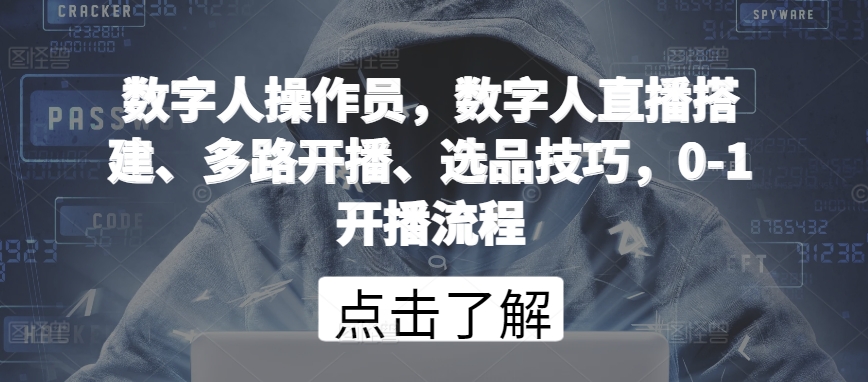 数字人操作员，数字人直播搭建、多路开播、选品技巧，0-1开播流程-休闲网赚three