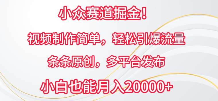 小众赛道掘金，视频制作简单，轻松引爆流量，条条原创，多平台发布-休闲网赚three