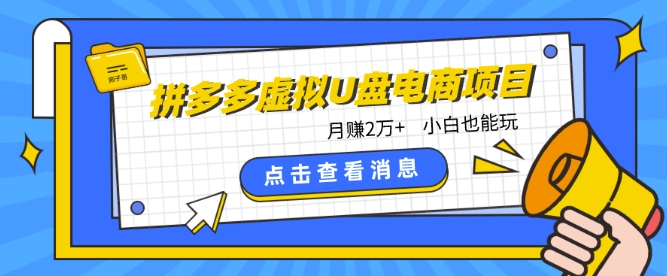 拼多多虚拟U盘电商红利项目：月赚2万+，新手小白也能玩-休闲网赚three