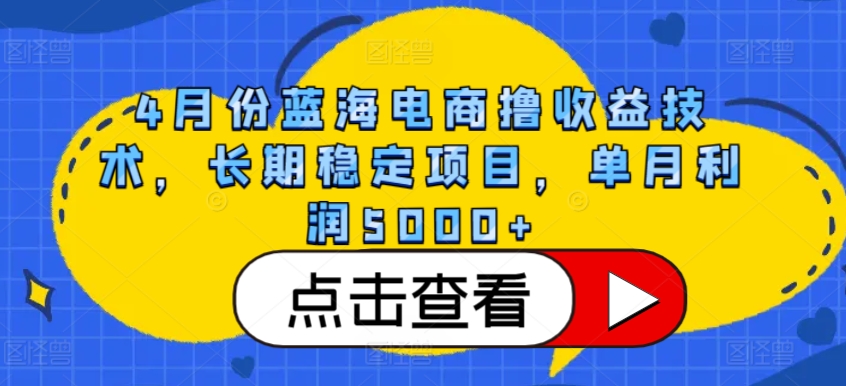 4月份蓝海电商撸收益技术，长期稳定项目，单月利润5000+-休闲网赚three