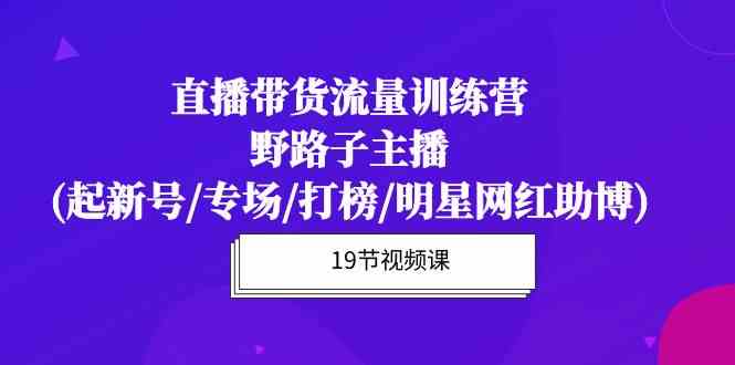 直播带货流量特训营，野路子主播(起新号/专场/打榜/明星网红助博)-休闲网赚three