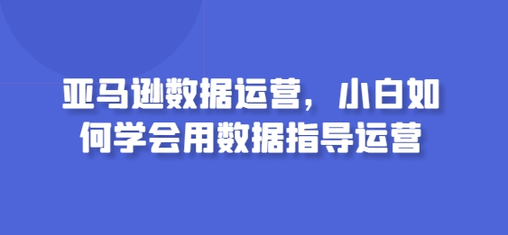 亚马逊数据运营，小白如何学会用数据指导运营-休闲网赚three