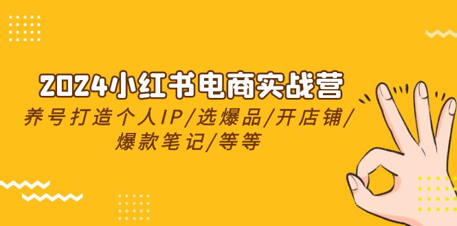 （10376期）2024小红书电商实战营，养号打造IP/选爆品/开店铺/爆款笔记/等等（24节）-休闲网赚three