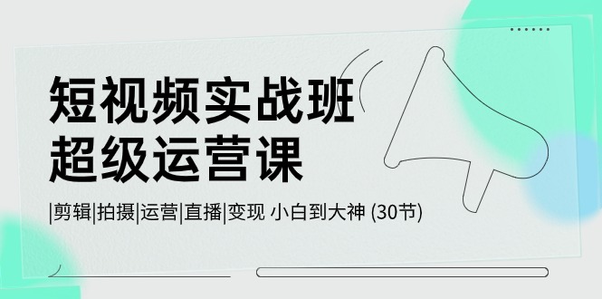 （10836期）短视频实战班-超级运营课，|剪辑|拍摄|运营|直播|变现 小白到大神 (30节)-休闲网赚three