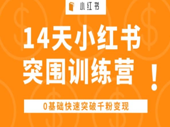 14天小红书突围训练营 ，0基础快速突破千粉变现-休闲网赚three