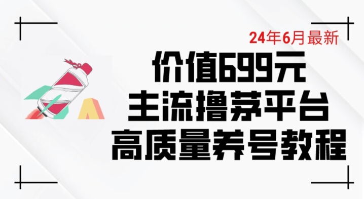 6月最新价值699的主流撸茅台平台精品养号下车攻略-休闲网赚three