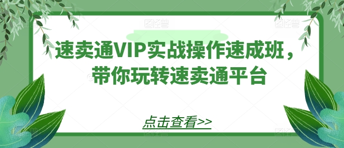 速卖通VIP实战操作速成班，带你玩转速卖通平台-休闲网赚three