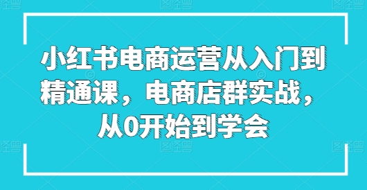 小红书电商运营从入门到精通课，电商店群实战，从0开始到学会-休闲网赚three