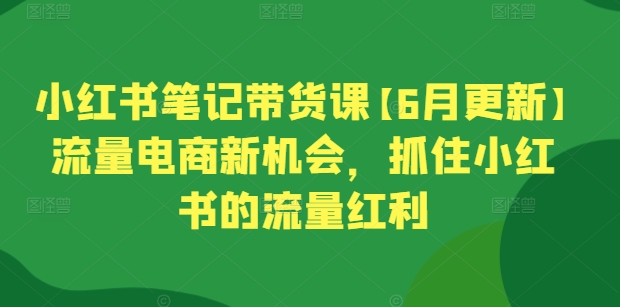 小红书笔记带货课【6月更新】流量电商新机会，抓住小红书的流量红利-休闲网赚three