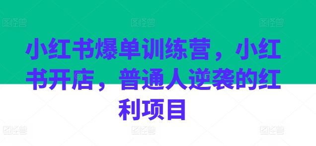 小红书爆单训练营，小红书开店，普通人逆袭的红利项目-休闲网赚three