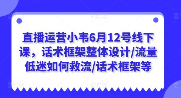 直播运营小韦6月12号线下课，话术框架整体设计/流量低迷如何救流/话术框架等-休闲网赚three