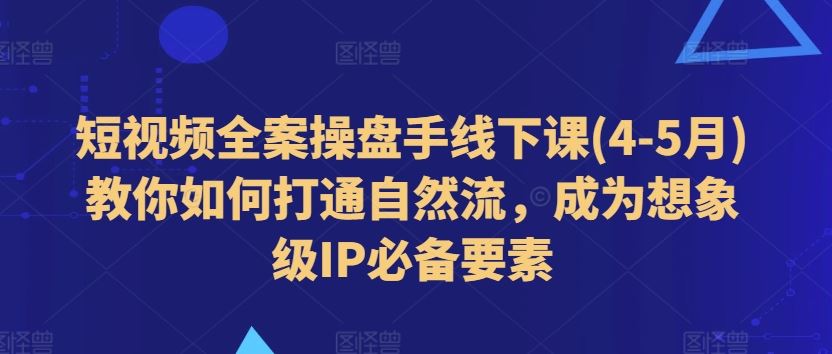 短视频全案操盘手线下课(4-5月)教你如何打通自然流，成为想象级IP必备要素-休闲网赚three