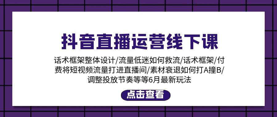 （11211期）抖音直播运营线下课：话术框架/付费流量直播间/素材A撞B/等6月新玩法-休闲网赚three