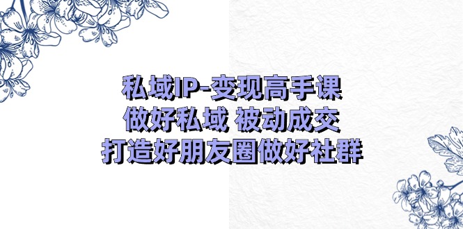 私域IP变现高手课：做好私域被动成交，打造好朋友圈做好社群（18节）-休闲网赚three