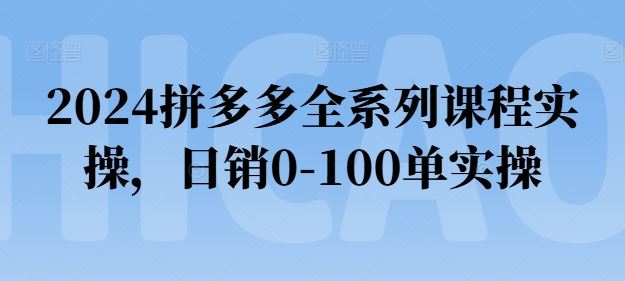 2024拼多多全系列课程实操，日销0-100单实操【必看】-休闲网赚three