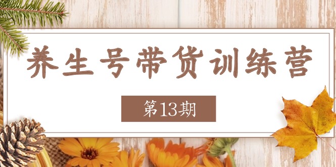 养生号带货训练营【第13期】收益更稳定的玩法，让你带货收益爆炸-休闲网赚three