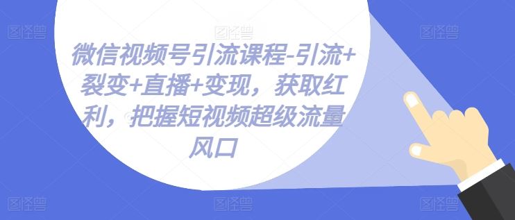 微信视频号引流课程-引流+裂变+直播+变现，获取红利，把握短视频超级流量风口-休闲网赚three