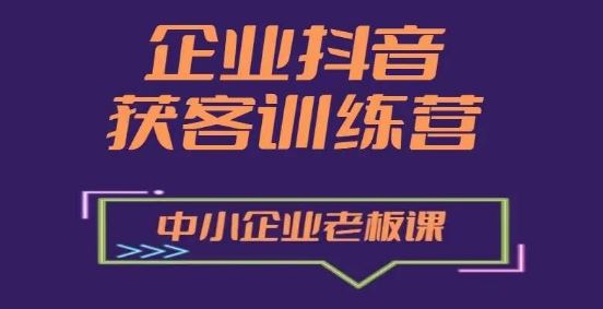 企业抖音营销获客增长训练营，中小企业老板必修课-休闲网赚three