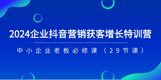 （11349期）2024企业抖音-营销获客增长特训营，中小企业老板必修课（29节课）-休闲网赚three