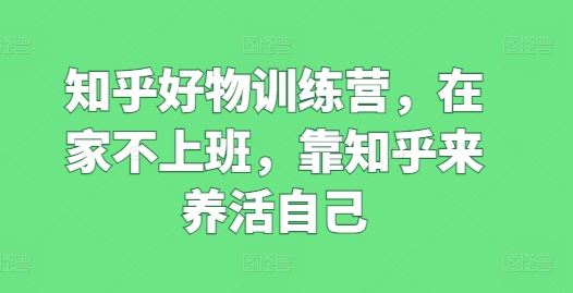 知乎好物训练营，在家不上班，靠知乎来养活自己-休闲网赚three