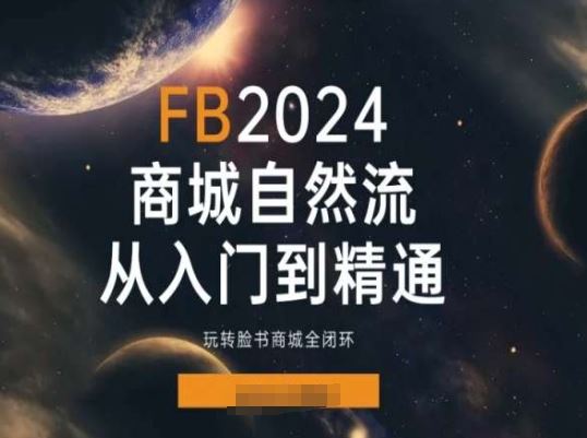 2024Faceboo商城自然流(从入门到精通)，玩转脸书商城全闭环-休闲网赚three