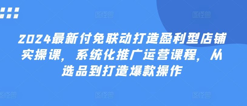 2024最新付免联动打造盈利型店铺实操课，​系统化推广运营课程，从选品到打造爆款操作-休闲网赚three