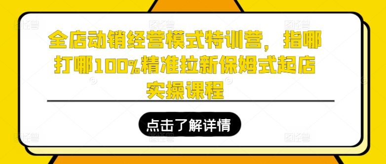 全店动销经营模式特训营，指哪打哪100%精准拉新保姆式起店实操课程-休闲网赚three