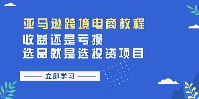 亚马逊跨境电商教程：收益还是亏损！选品就是选投资项目-休闲网赚three