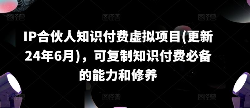 IP合伙人知识付费虚拟项目(更新24年6月)，可复制知识付费必备的能力和修养-休闲网赚three