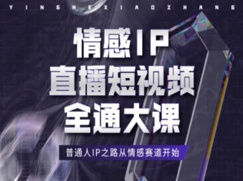 情感IP直播短视频全通大课，普通人IP之路从情感赛道开始-休闲网赚three