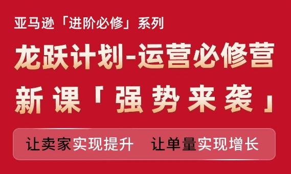 亚马逊进阶必修系列，龙跃计划-运营必修营新课，让卖家实现提升 让单量实现增长-休闲网赚three