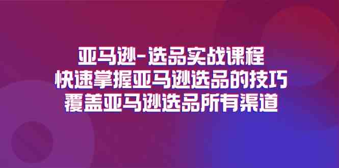 亚马逊选品实战课程，快速掌握亚马逊选品的技巧，覆盖亚马逊选品所有渠道-休闲网赚three