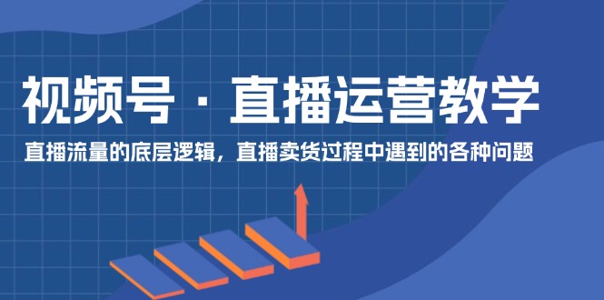 （11687期）视频号 直播运营教学：直播流量的底层逻辑，直播卖货过程中遇到的各种问题-休闲网赚three