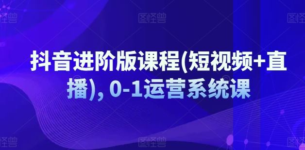 抖音进阶版课程(短视频+直播), 0-1运营系统课-休闲网赚three