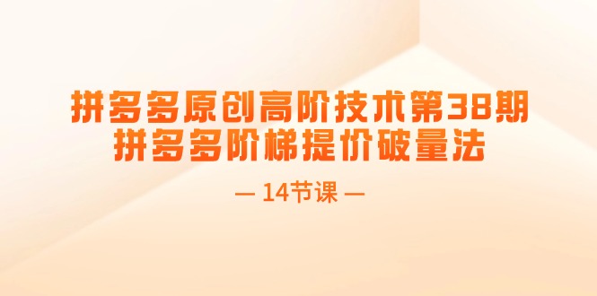 （11704期）拼多多原创高阶技术第38期，拼多多阶梯提价破量法（14节课）-休闲网赚three