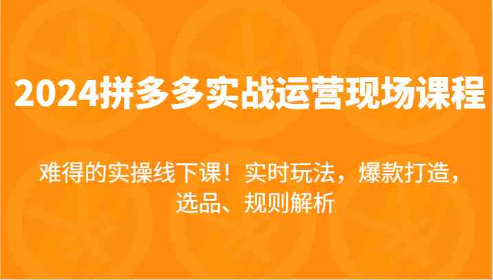 2024拼多多实战运营现场课，实时玩法，爆款打造，选品、规则解析，难得的实操线下课！-休闲网赚three