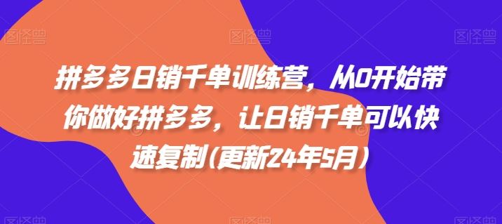 拼多多日销千单训练营，从0开始带你做好拼多多，让日销千单可以快速复制(更新24年7月)-休闲网赚three