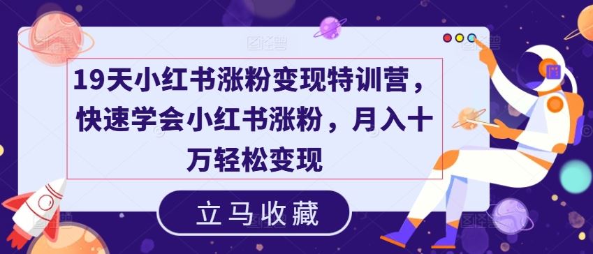 19天小红书涨粉变现特训营，快速学会小红书涨粉，月入十万轻松变现-休闲网赚three