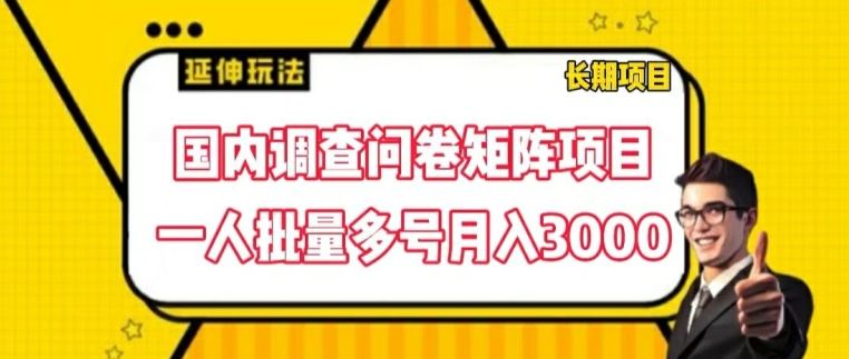 国内调查问卷矩阵项目，一人批量多号月入3000【揭秘】-休闲网赚three