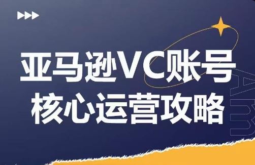 亚马逊VC账号核心玩法解析，实战经验拆解产品模块运营技巧，提升店铺GMV，有效提升运营利润-休闲网赚three