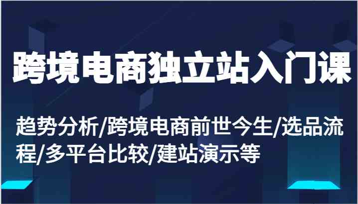 跨境电商独立站入门课：趋势分析/跨境电商前世今生/选品流程/多平台比较/建站演示等-休闲网赚three