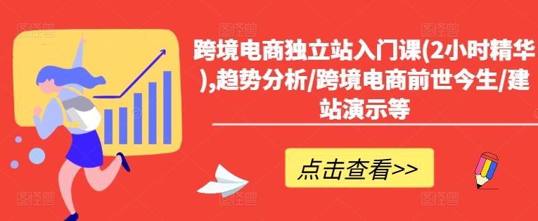 跨境电商独立站入门课(2小时精华),趋势分析/跨境电商前世今生/建站演示等-休闲网赚three