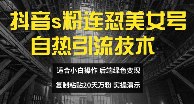 抖音s粉连怼美女号自热引流技术复制粘贴，20天万粉账号，无需实名制，矩阵操作【揭秘】-休闲网赚three