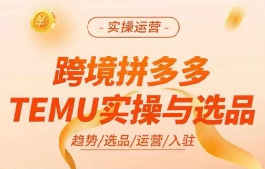 跨境拼多多TEMU实操与选品，多多temu跨境选品运营实操-休闲网赚three