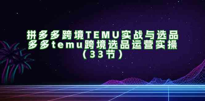 拼多多跨境TEMU实战与选品，多多temu跨境选品运营实操（33节）-休闲网赚three