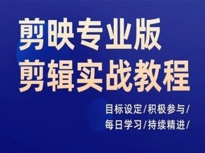 剪映专业版剪辑实战教程，目标设定/积极参与/每日学习/持续精进-休闲网赚three